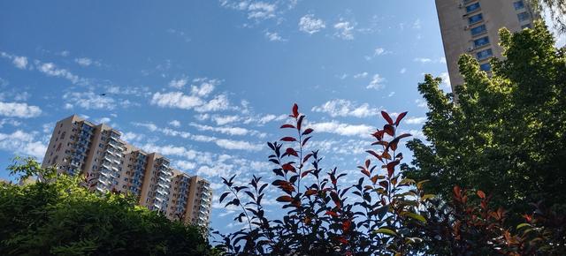蓝天白云映“忻”城