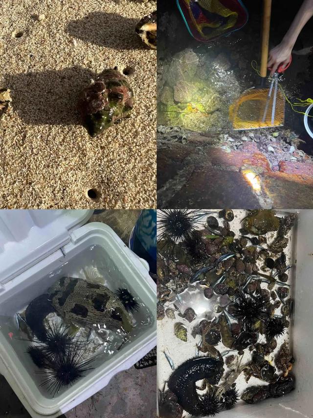 珠海赶海地图出炉！这些宝藏海滩，火爆了！