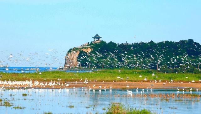 河北人口最少地级市：面积小于邢台和邯郸，常住人口不到350万