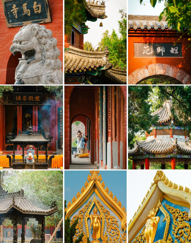 在重庆长大的我去了趟河南洛阳，真羡慕当地人的生活，你们猜为啥