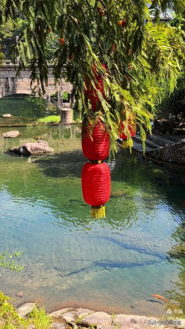 探秘浙南“小黄山”的绝美风光!夏日就去这个天然小众徒步氧吧!