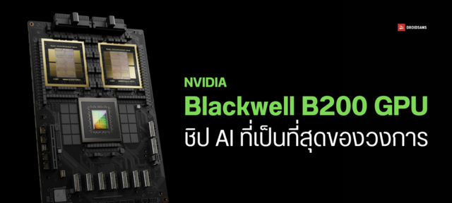 英伟达赚771亿封神？罗森维戳破，光环效应下，成功就是风口套路