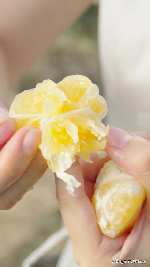 登山揽胜、环湖骑行、品尝螃蟹 前方到站！大美黄石后花园