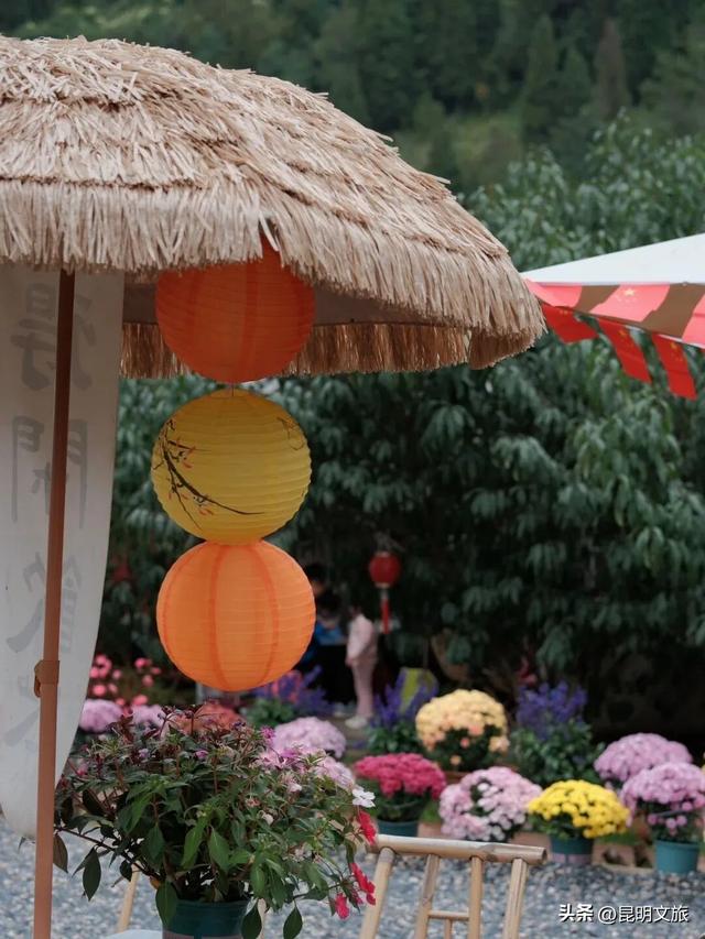 昆明出发30分钟，摘苹果、喂小羊、彩虹屋打卡……秋日露营天花板在此！