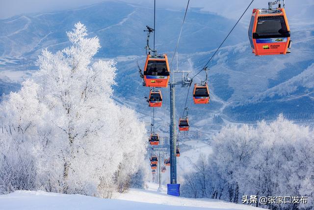 崇礼雾凇 美到极致