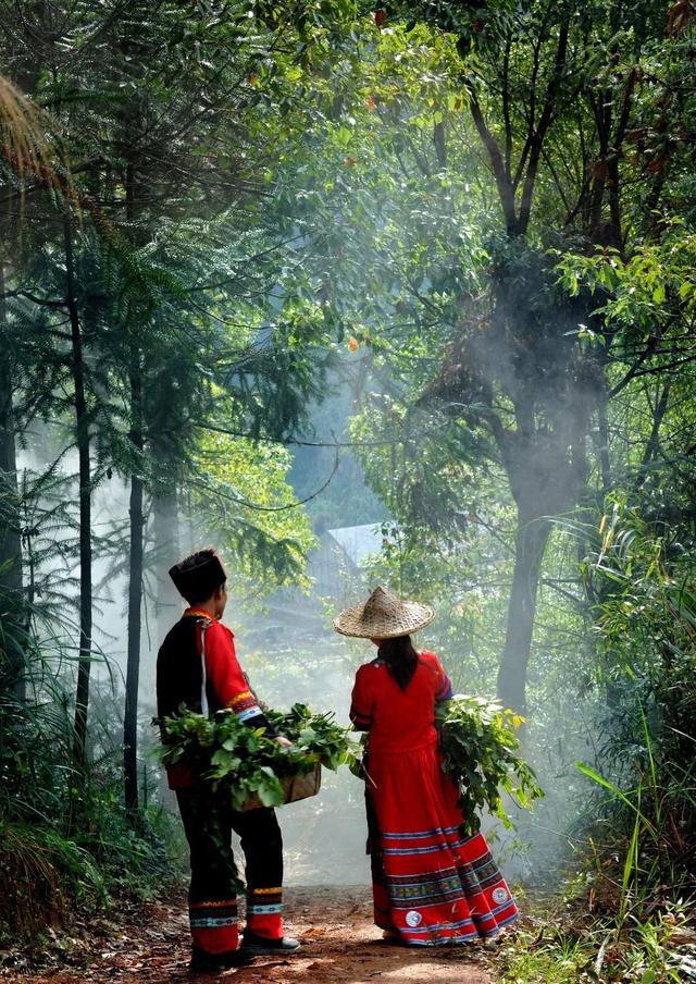 品古瑶新韵·赏金秋盛景，湖北通城药姑山古瑶村，十一黄金周民族风情新热地！