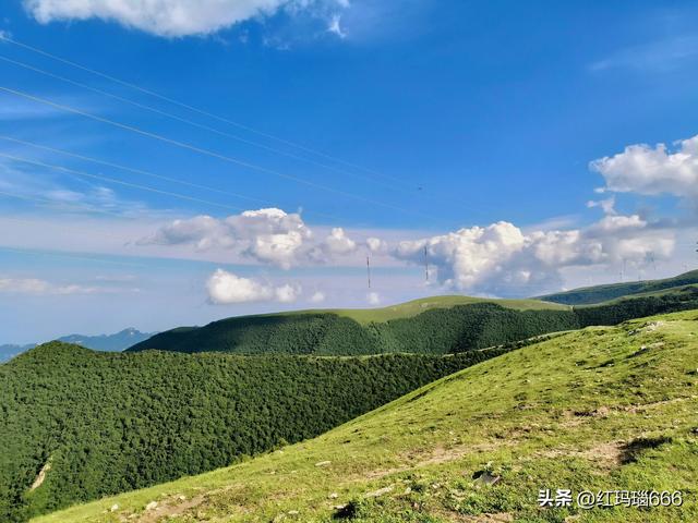 酷暑炎炎，到蔚县大南山避暑，一条免费的自然风光游路线真不错