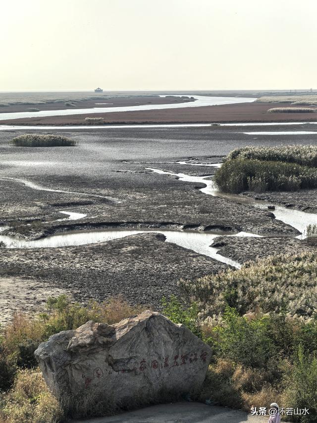 2025辽宁赏秋之旅日记(6)——到辽河口中国最北海岸线看日出 观鸟