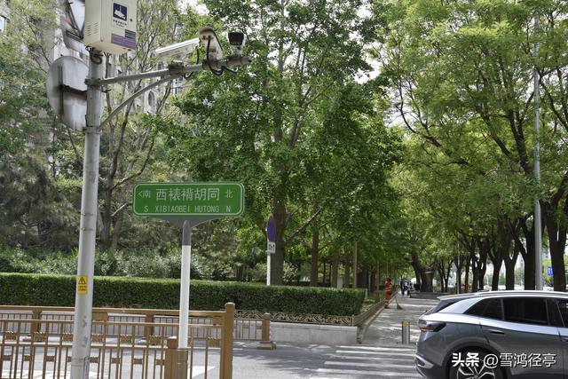 丹心抗节 粉身碎骨留清白