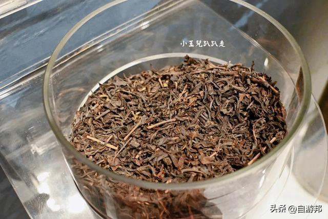 南投名间景点 天空步道、茶园秘境、品味台湾茶文化
