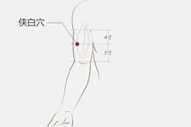 神奇侠白穴，人称麻痹穴，上肢麻木的有效治疗穴位，值得了解图片
