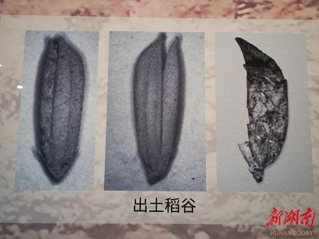 怀化：“三江一湾”入画来