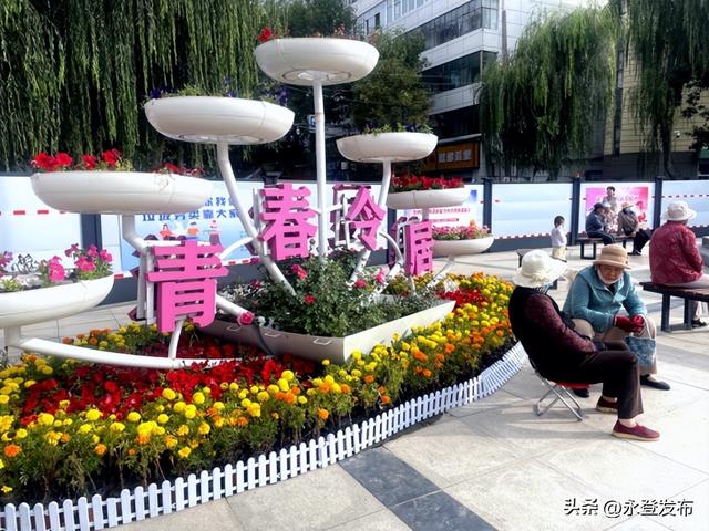 永登：金秋花景盛 国庆氛围浓