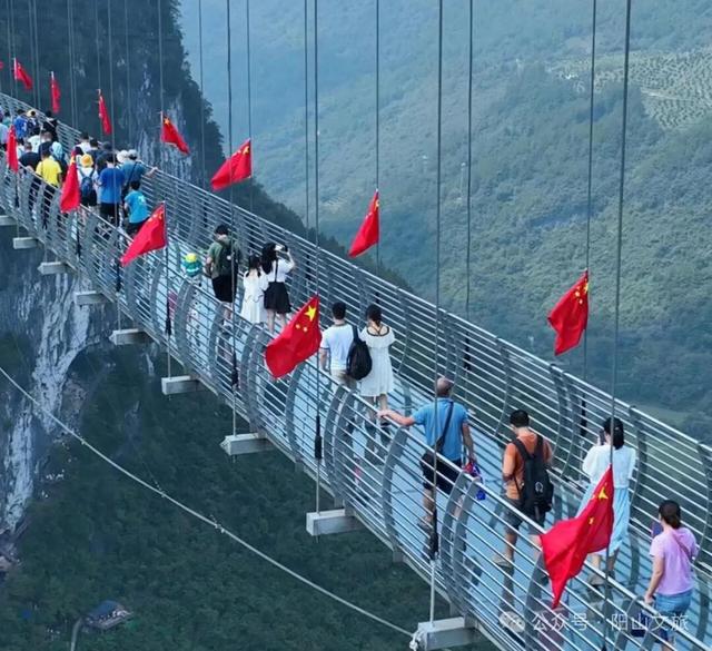 34.98万人次、3.74亿元，双节期间阳山旅游数据红火喜人