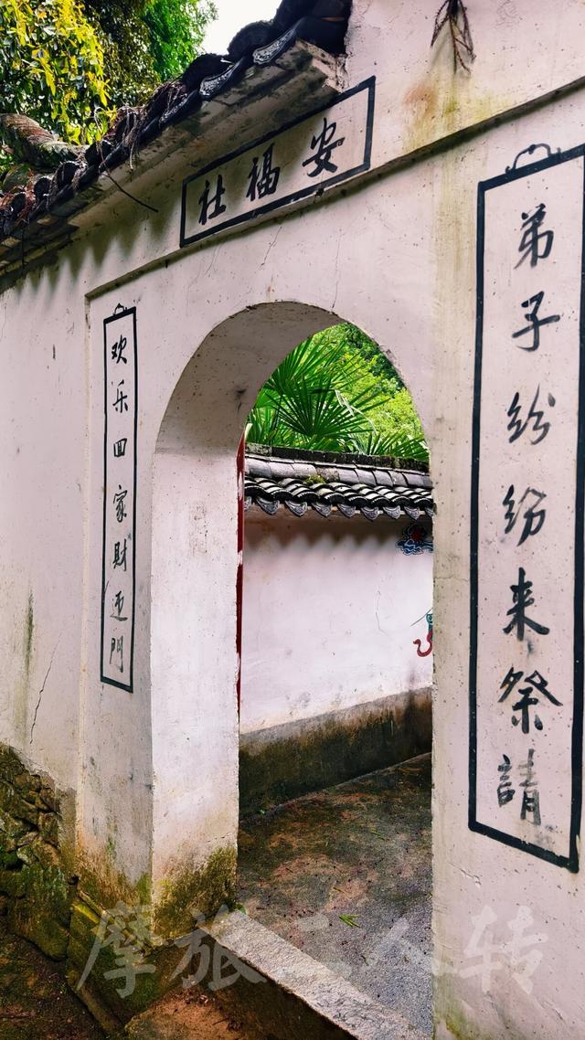 皖浙摩旅二人转——松阳横坑村篇（下）