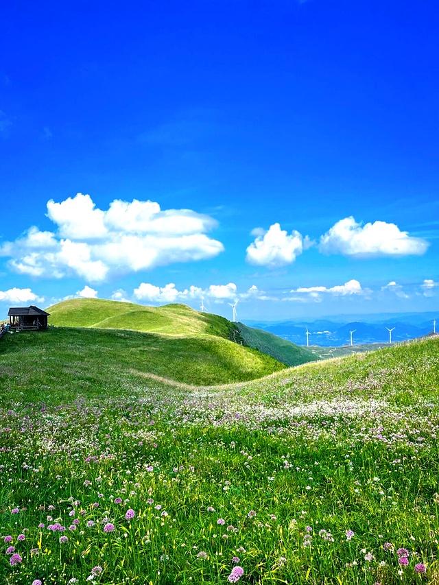 去了趟贵州毕节，真心建议：不要随便去毕节，除非你知道这些