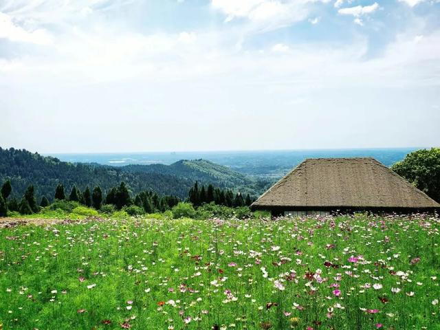 眉山天府新区又有好耍地儿了！速来打卡~