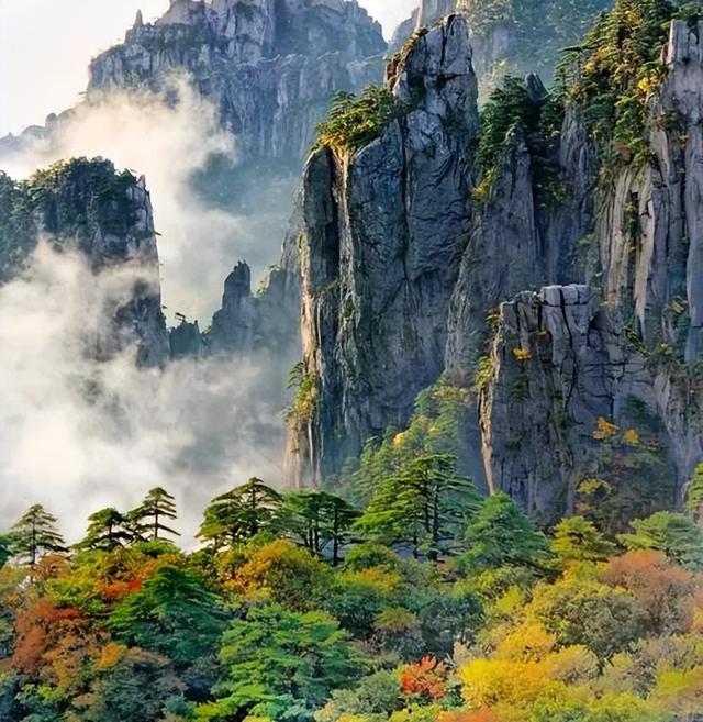 黄山秋色天花板！2025绝美赏秋攻略：解锁99%人不知道的秘境玩法