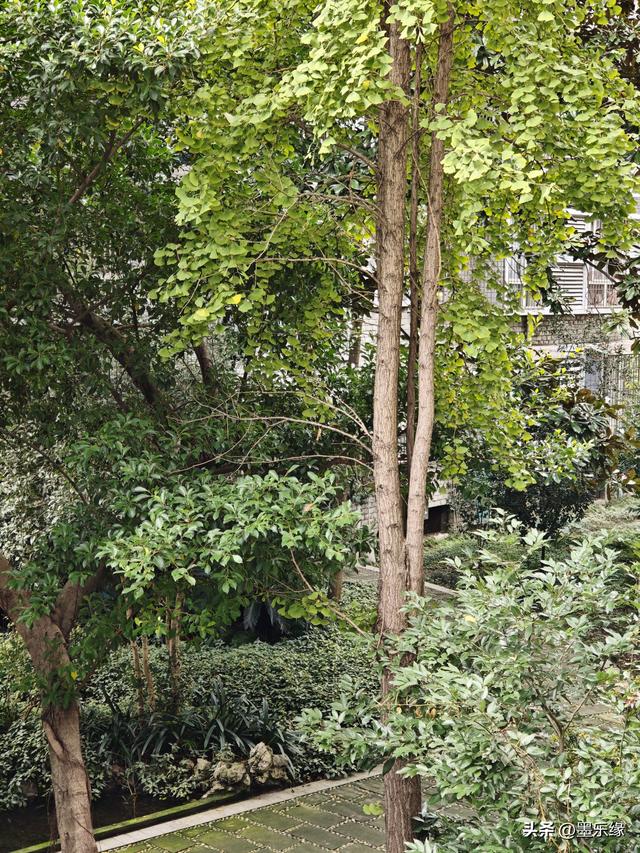 冬夜（散文诗)/墨乐缘