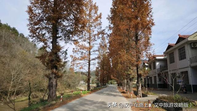 汉中洋西路自驾邂逅冬日限定美景！