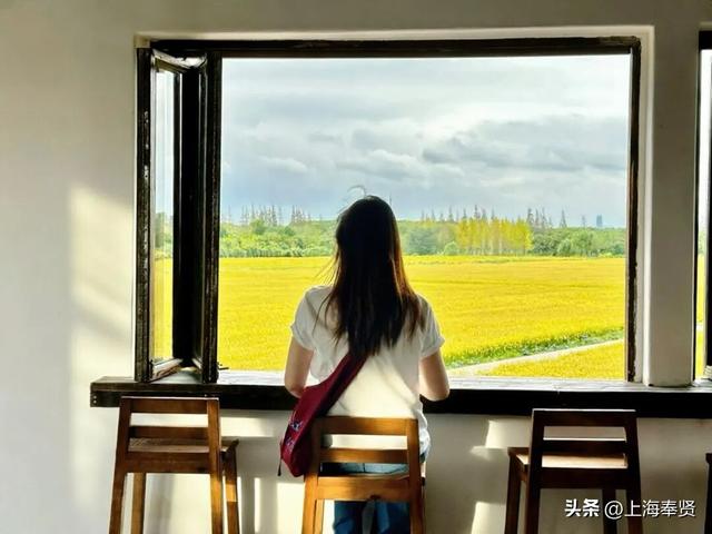 “乡”遇奉贤·青村镇篇丨拒绝假期特种兵！我选择在青溪当一名“慢生活博主”