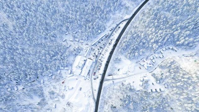 去赏雪，东北和新疆怎么选？速看！