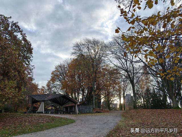 温哥华游记（一）