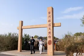 抖i东营 | 走进黄河口生态旅游区 感受人与自然和谐之美图片