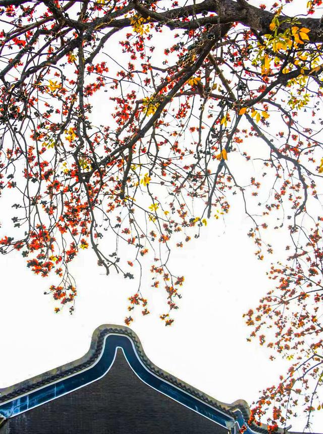 图集丨行走50公里！如何拍出最美照片