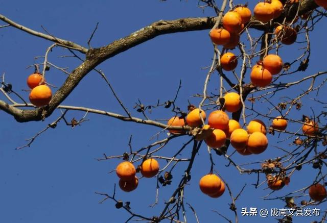 白马河冬日私语