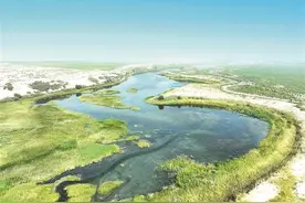 庆祝兵团成立70周年 向祖国报告｜逐绿前行绘新景——兵团辉煌70年系列述评之五图片