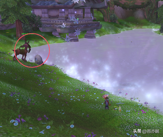 魔兽世界正式服超感人宠物尤娜获得流程，不要错过！