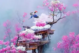 神仙住的地方图片