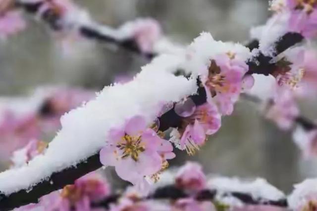 “最怕十月初十一晴	”，今日十月初十一	，晴天有啥怕的？真相来了