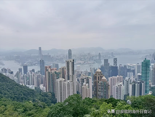 【旅游攻略】香港太平山：怎么爬上去？哪里可以免费拍维港全景？