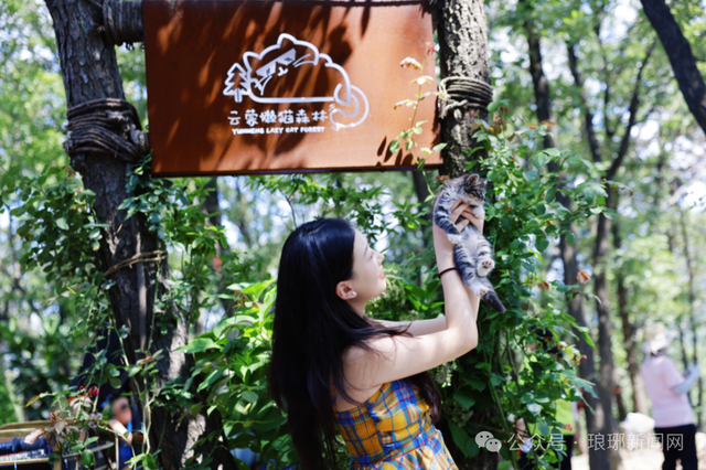 5A级景区重磅官宣：临沂、济南市民免费！