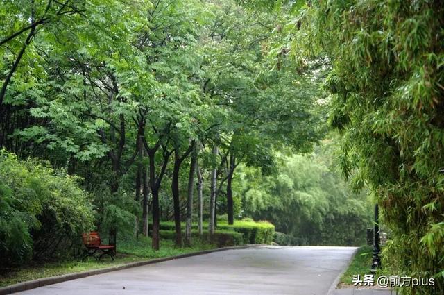 西安这4个宝藏馆!阴雨天去超合适!