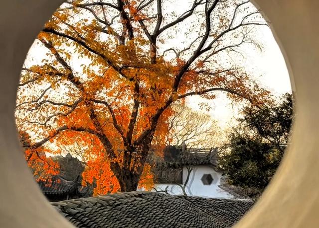 苏州秋天藏不住了！8个封神打卡地，承包江南最浓秋意