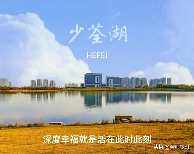 合肥新站：一朝入磨店，满意皆庐州！