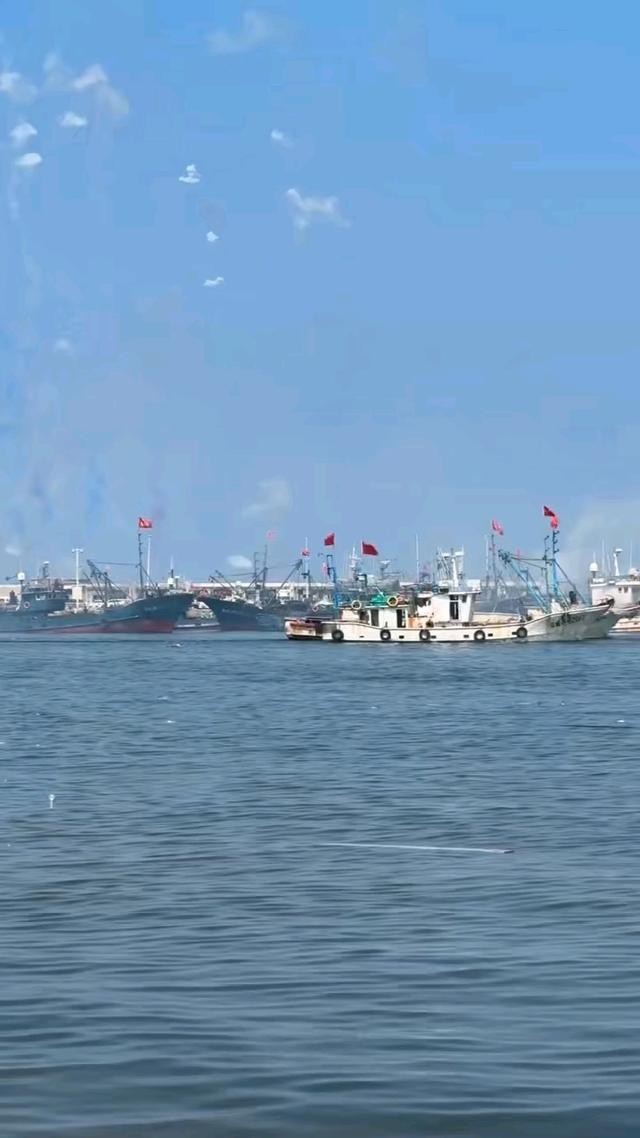 壮观！山东威海开海啦！千帆竞发，海鲜肥美，快来旅游！