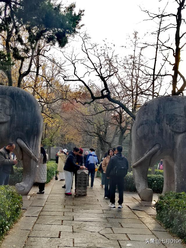 最美石象路，我来咯