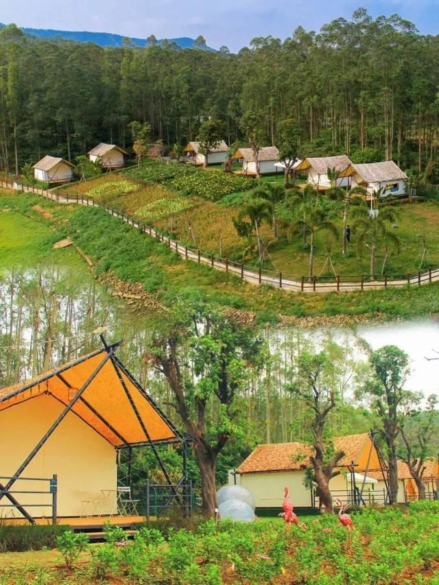 免票、打折……肇庆超多福利来袭！速看→