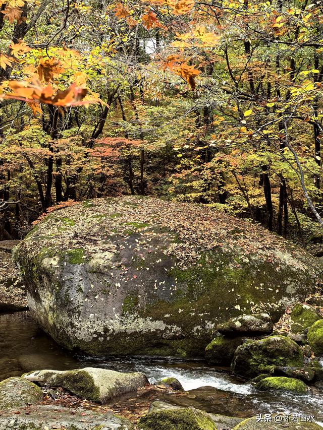 2025辽宁赏秋之旅日记(3)——游览洋湖沟和老边沟