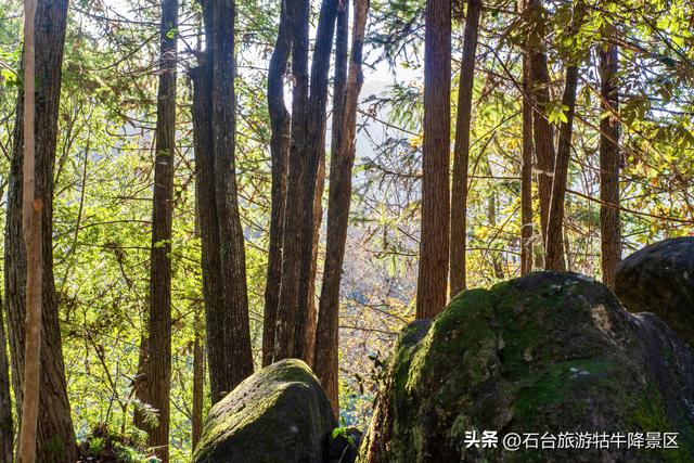 霜冬赴新程，焕新待君赏