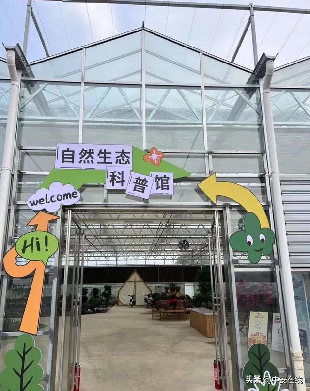 12月6日“乡”约宿松，这座3000亩文旅小镇藏着诗与远方