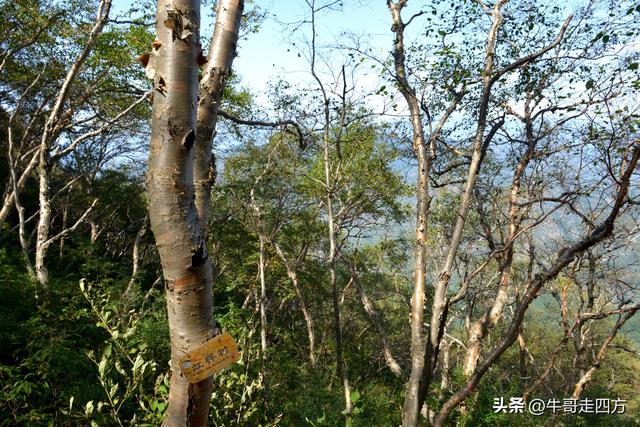 河北百草畔（中）：览尽三山舒望眼，行穿百草浣尘襟