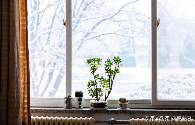 11月7立冬，今年立冬不一般，有2个特点与往年不同，3件事早准备