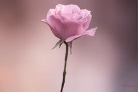 男人过了五十岁，依然喜欢找情人，多半有以下三个原因图片