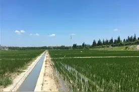 “干、支、斗、农、毛”，傻傻分不清？图片