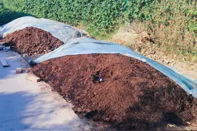 鸡粪的三种处理办法，第一种最常用，后两种很多人都忽略了图片